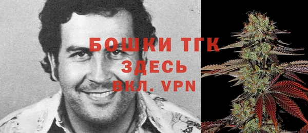альфа пвп Бородино