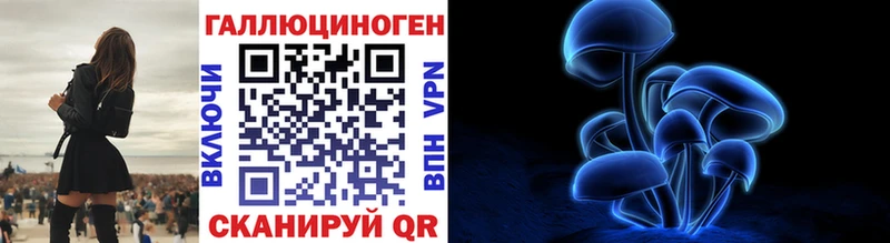 Псилоцибиновые грибы Psilocybine cubensis  Северобайкальск 
