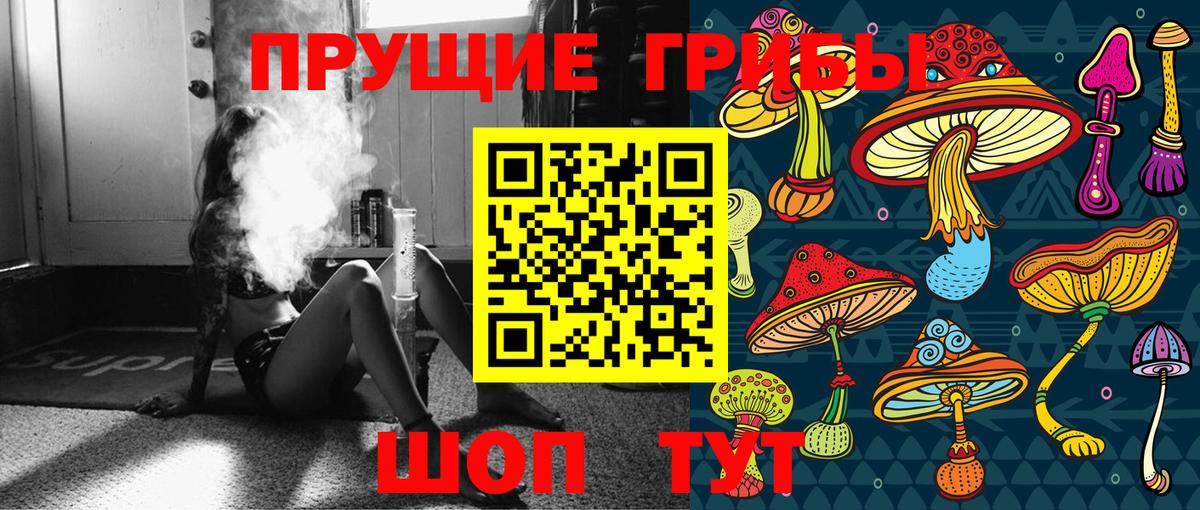 Северобайкальск  Псилоцибиновые грибы MAGIC MUSHROOMS  где продают   Вход с VPN 