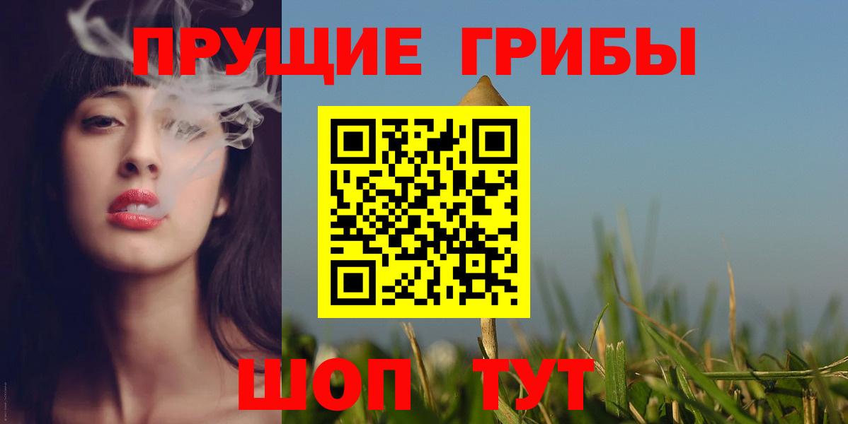 Псилоцибиновые грибы Cubensis Северобайкальск